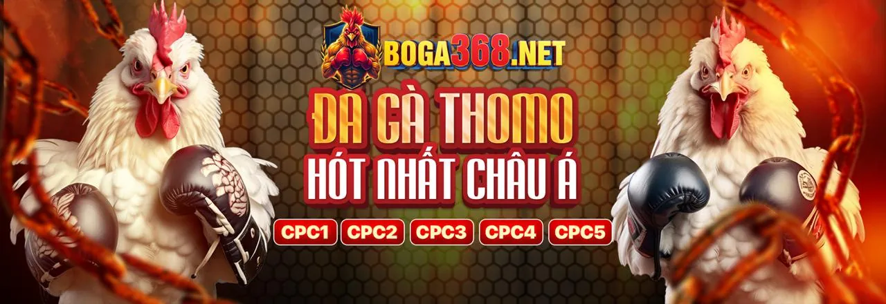Hình ảnh tổng quan về trách nhiệm cờ bạc tại ce88 link vào
